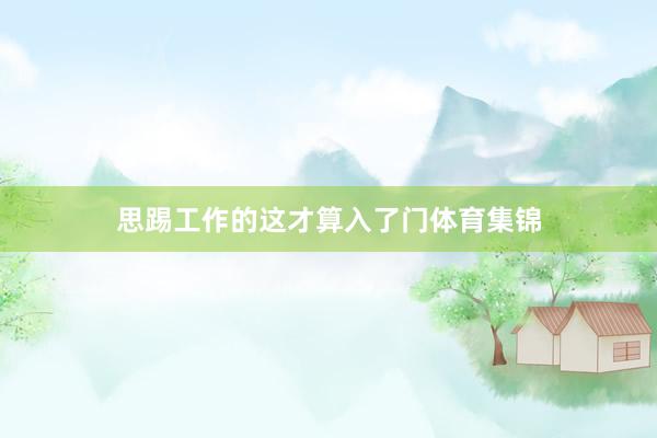 思踢工作的这才算入了门体育集锦