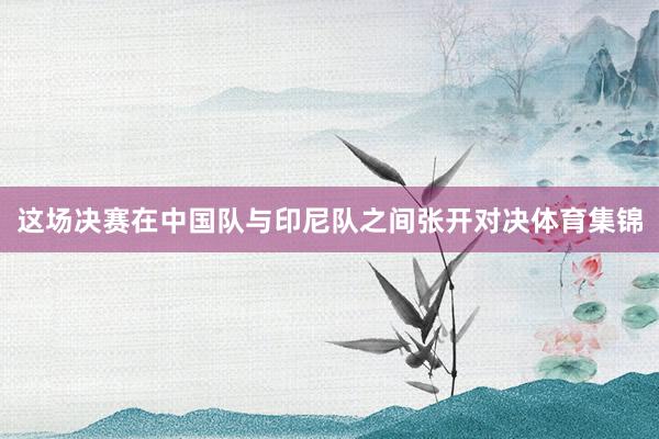 这场决赛在中国队与印尼队之间张开对决体育集锦