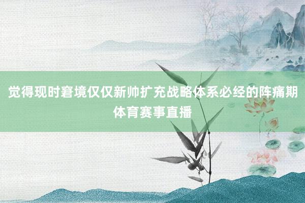 觉得现时窘境仅仅新帅扩充战略体系必经的阵痛期体育赛事直播