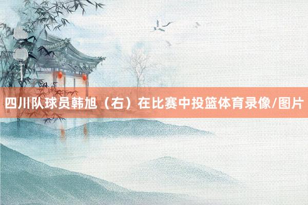 四川队球员韩旭（右）在比赛中投篮体育录像/图片
