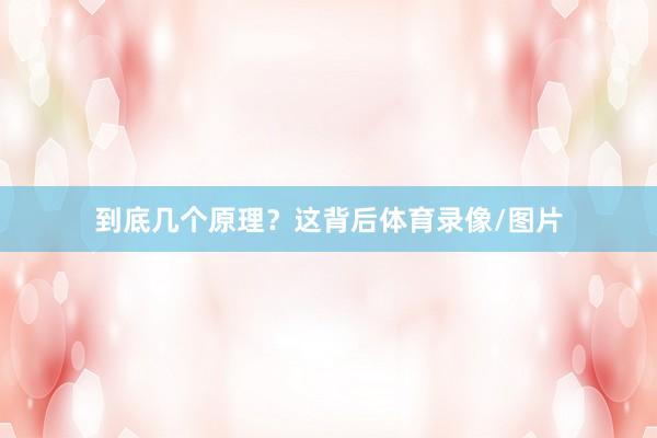 到底几个原理？这背后体育录像/图片