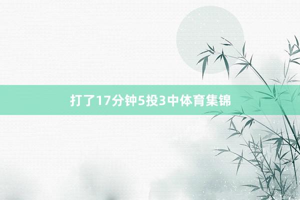 打了17分钟5投3中体育集锦