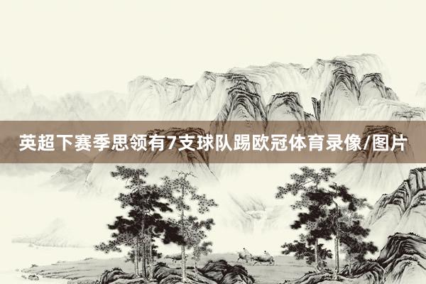 英超下赛季思领有7支球队踢欧冠体育录像/图片
