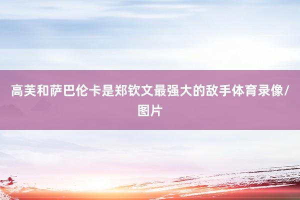 高芙和萨巴伦卡是郑钦文最强大的敌手体育录像/图片