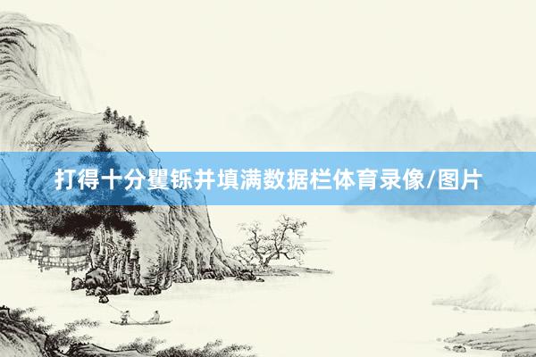 打得十分矍铄并填满数据栏体育录像/图片