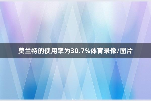 莫兰特的使用率为30.7%体育录像/图片