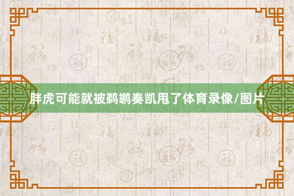 胖虎可能就被鹈鹕奏凯甩了体育录像/图片
