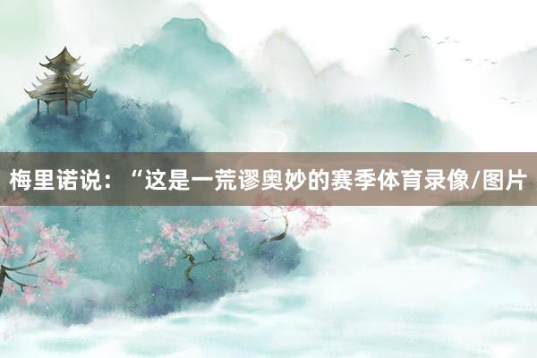 梅里诺说：“这是一荒谬奥妙的赛季体育录像/图片