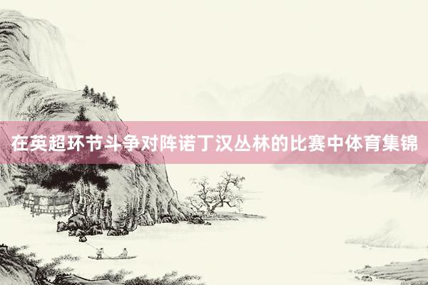 在英超环节斗争对阵诺丁汉丛林的比赛中体育集锦
