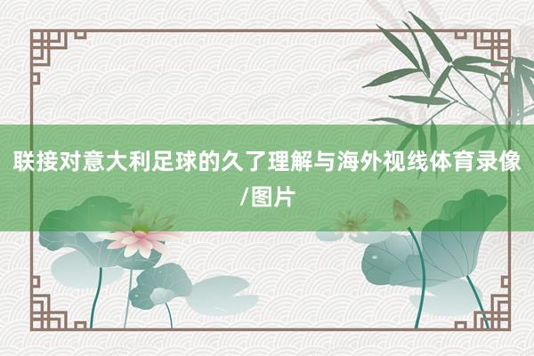 联接对意大利足球的久了理解与海外视线体育录像/图片