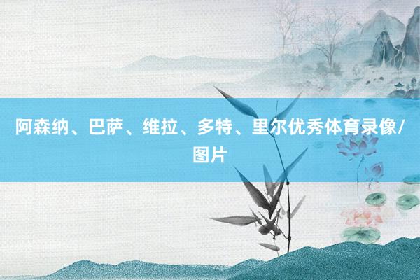 阿森纳、巴萨、维拉、多特、里尔优秀体育录像/图片