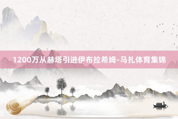 1200万从赫塔引进伊布拉希姆-马扎体育集锦