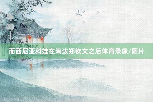 而西尼亚科娃在淘汰郑钦文之后体育录像/图片