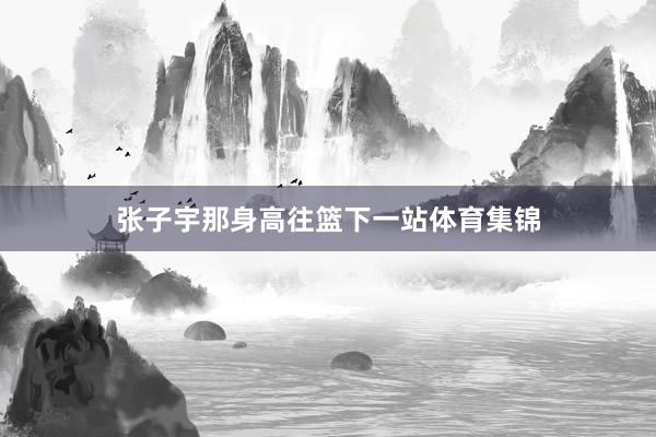 张子宇那身高往篮下一站体育集锦