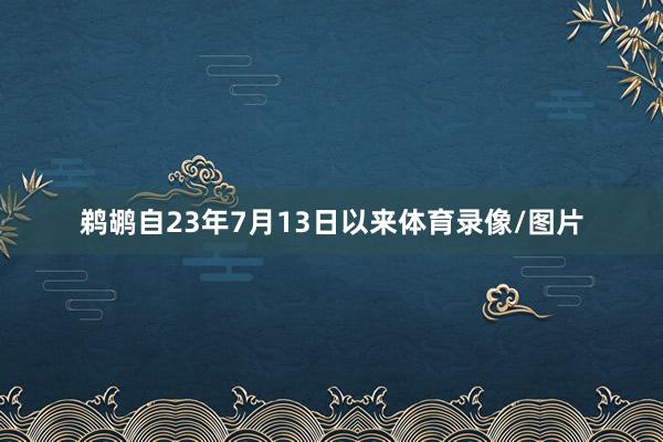 鹈鹕自23年7月13日以来体育录像/图片