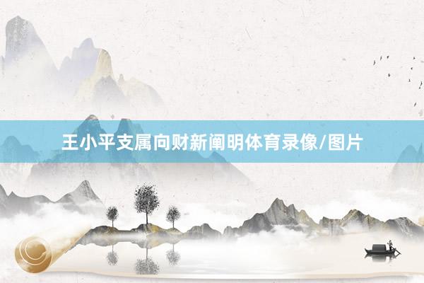 王小平支属向财新阐明体育录像/图片
