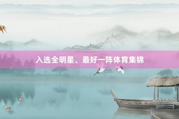 入选全明星、最好一阵体育集锦