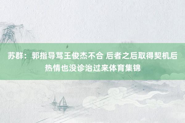 苏群：郭指导骂王俊杰不合 后者之后取得契机后热情也没诊治过来体育集锦