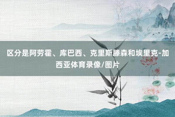 区分是阿劳霍、库巴西、克里斯滕森和埃里克-加西亚体育录像/图片
