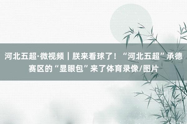 河北五超·微视频｜朕来看球了！“河北五超”承德赛区的“显眼包”来了体育录像/图片