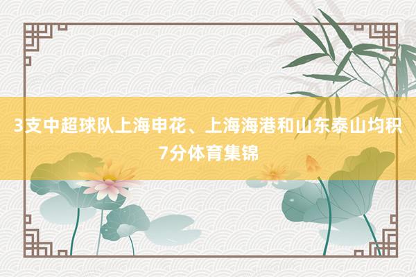 3支中超球队上海申花、上海海港和山东泰山均积7分体育集锦