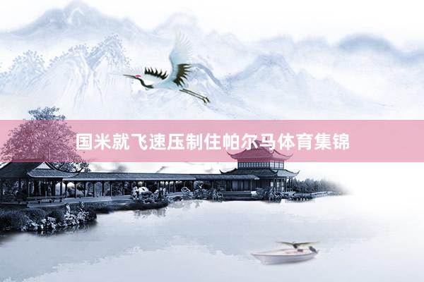 国米就飞速压制住帕尔马体育集锦