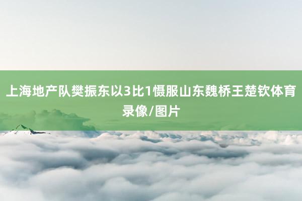 上海地产队樊振东以3比1慑服山东魏桥王楚钦体育录像/图片
