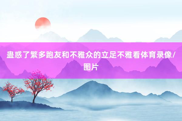 蛊惑了繁多跑友和不雅众的立足不雅看体育录像/图片
