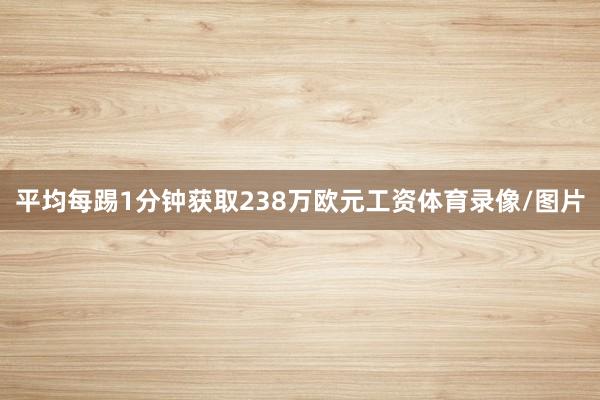 平均每踢1分钟获取238万欧元工资体育录像/图片
