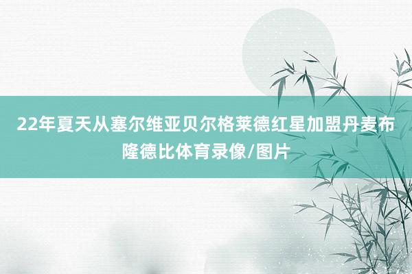 22年夏天从塞尔维亚贝尔格莱德红星加盟丹麦布隆德比体育录像/图片