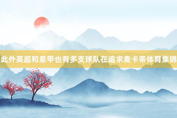 此外英超和意甲也有多支球队在追求麦卡蒂体育集锦
