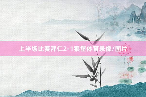上半场比赛拜仁2-1狼堡体育录像/图片