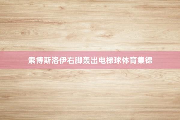 索博斯洛伊右脚轰出电梯球体育集锦