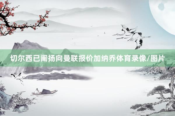切尔西已阐扬向曼联报价加纳乔体育录像/图片