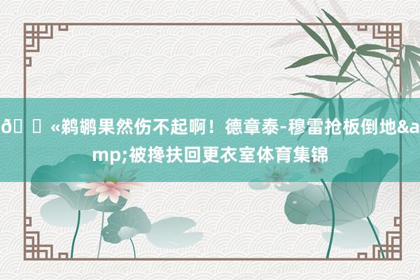 😫鹈鹕果然伤不起啊！德章泰-穆雷抢板倒地&被搀扶回更衣室体育集锦