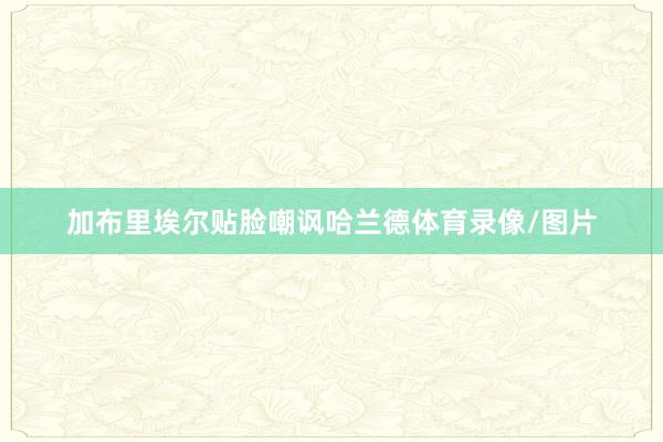 加布里埃尔贴脸嘲讽哈兰德体育录像/图片