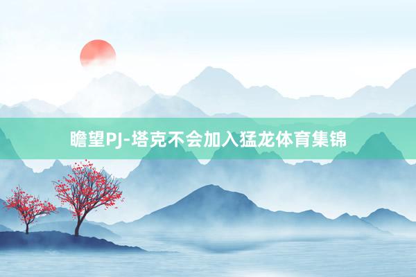 瞻望PJ-塔克不会加入猛龙体育集锦