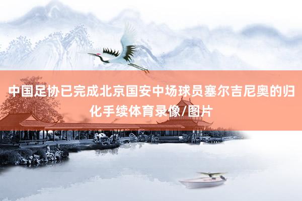 中国足协已完成北京国安中场球员塞尔吉尼奥的归化手续体育录像/图片