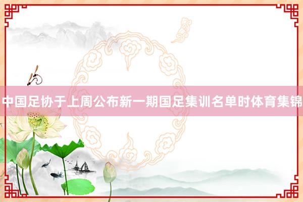 中国足协于上周公布新一期国足集训名单时体育集锦