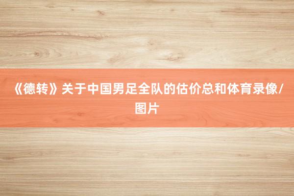 《德转》关于中国男足全队的估价总和体育录像/图片