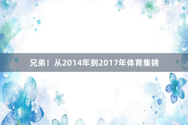 兄弟!从2014年到2017年体育集锦