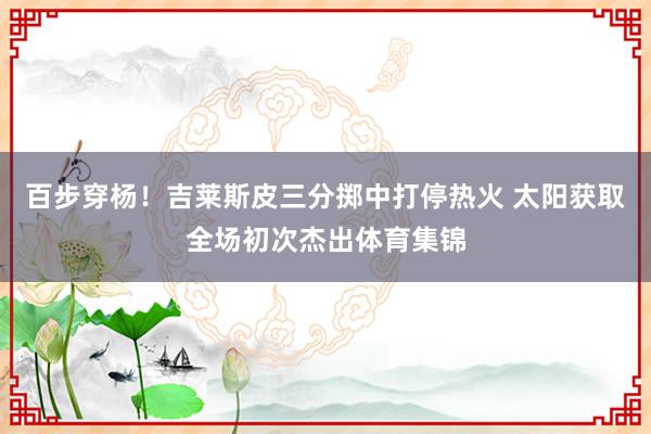 百步穿杨！吉莱斯皮三分掷中打停热火 太阳获取全场初次杰出体育集锦