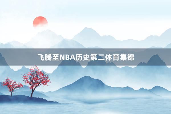 飞腾至NBA历史第二体育集锦