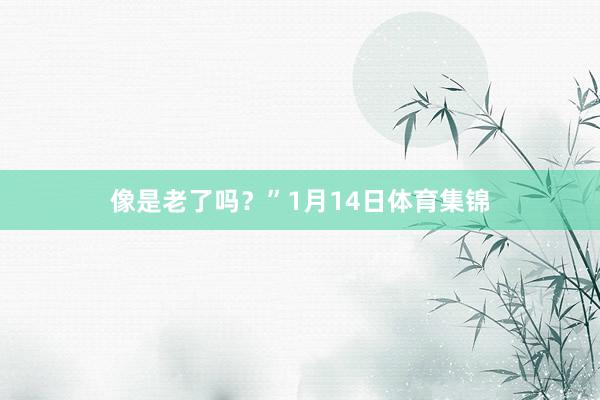 像是老了吗？”1月14日体育集锦