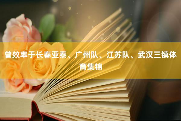 曾效率于长春亚泰、广州队、江苏队、武汉三镇体育集锦
