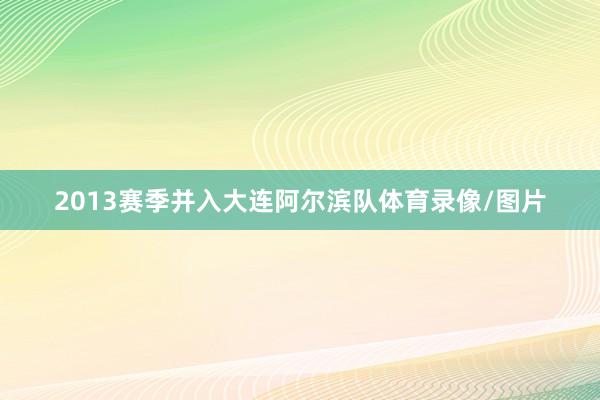 2013赛季并入大连阿尔滨队体育录像/图片