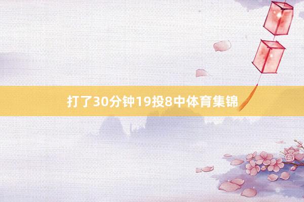 打了30分钟19投8中体育集锦