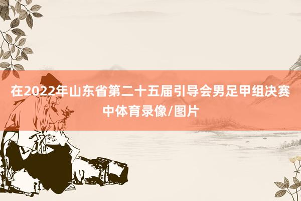在2022年山东省第二十五届引导会男足甲组决赛中体育录像/图片