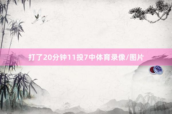 打了20分钟11投7中体育录像/图片