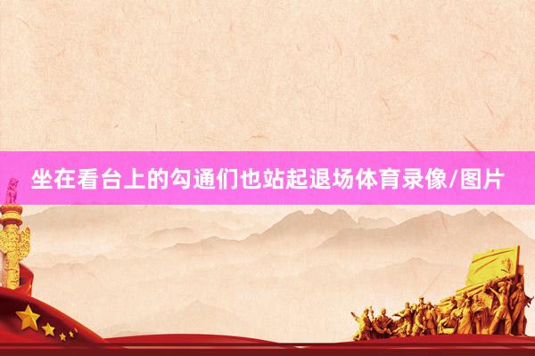 坐在看台上的勾通们也站起退场体育录像/图片